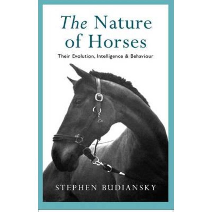 Nature of Horses