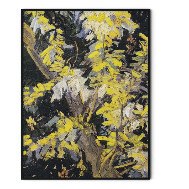 Tablou decorativ color, Intaglio, Clasic, flori, Blossoming Acacia Branches de Van Gogh, fara rama, print pe hartie foto Fine Art 91 cm 61 cm