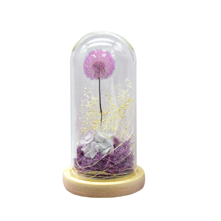 Aranjament floral in cupola de sticla, lumina Led, D4025, Mov, 8x17 cm