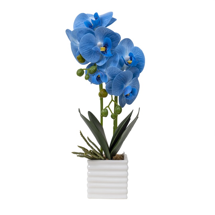 Love Orchideák, természetes megjelenésű, 2 szálas, fehér kerámia cserépben, magasság 32 cm, CD4559-albastru