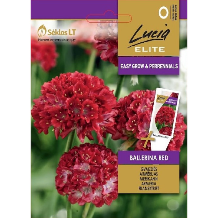 Seminte, Armeria Ballerina Red, Lucia Elite, plic, 30 seminte