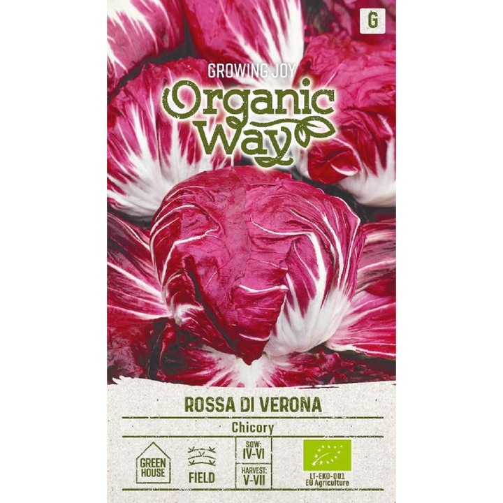 Seminte ecologice, Cicoare de gradina Radicchio Rossa di Verona, Organic Way, plic, 1 gram
