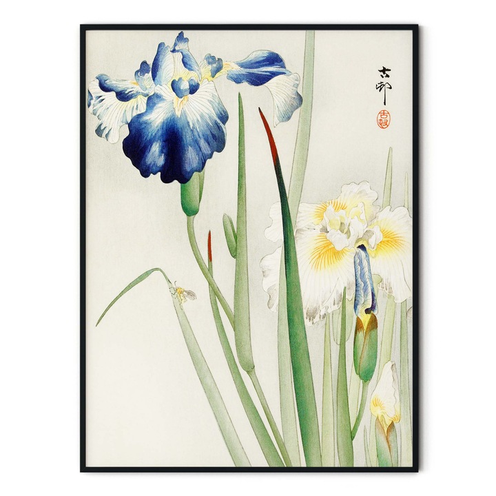 Tablou decorativ, Intaglio, fara rama, print pe hartie foto Fine Art, Modern, color, Irises, Ohara Koson, Flori de Iris, pentru living 91 cm 61 cm