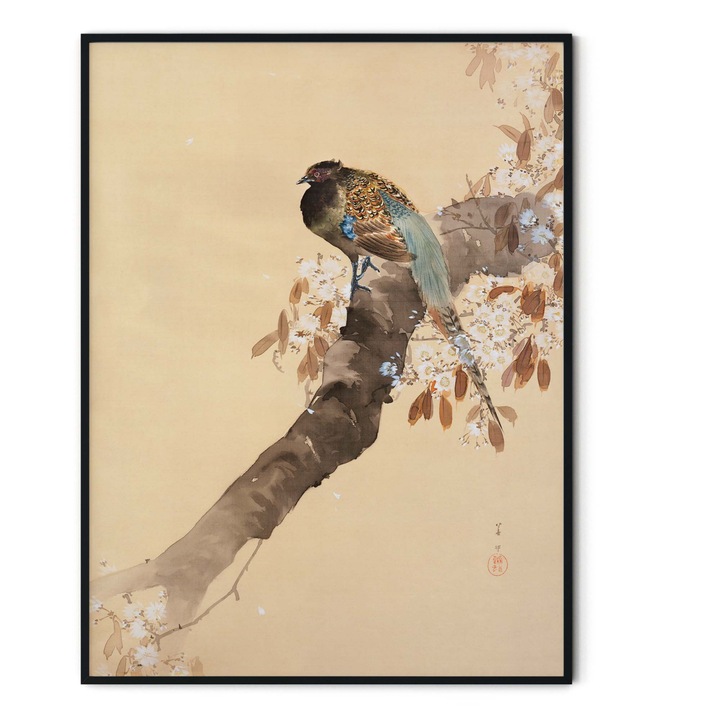 Tablou decorativ, Intaglio, fara rama, print pe hartie foto Fine Art, Modern, color, Pheasant on cherry blossom branch, Ohara Koson, pasari, pentru bucatarie 70 cm 50 cm