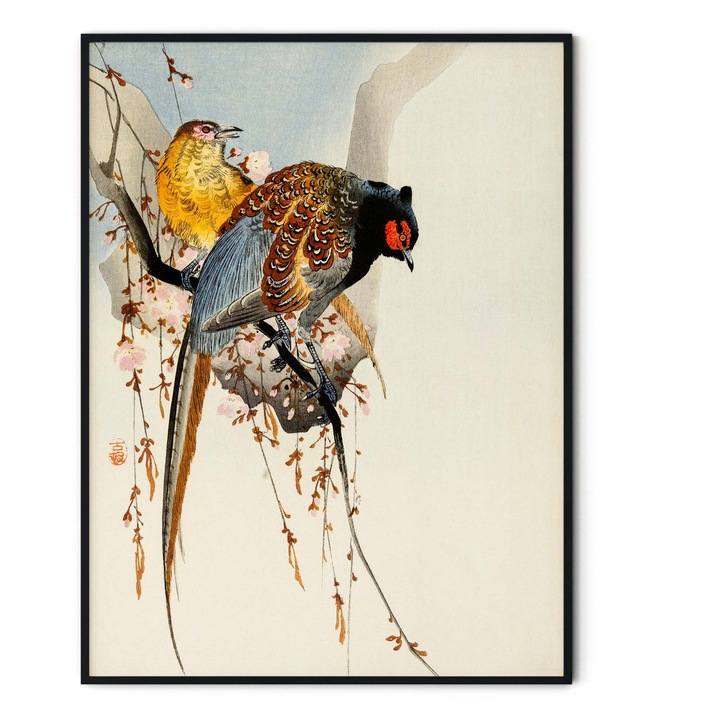Tablou decorativ, Intaglio, fara rama, print pe hartie foto Fine Art, Modern, color, Pheasant couple and plum blossom, Ohara Koson, Pasari 91 cm 61 cm