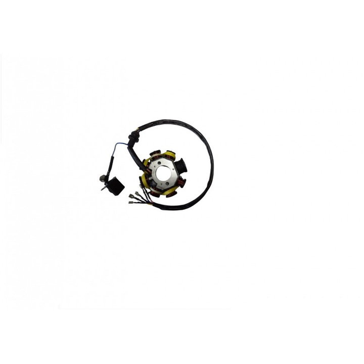 Stator ATV Bashan, 200cc
