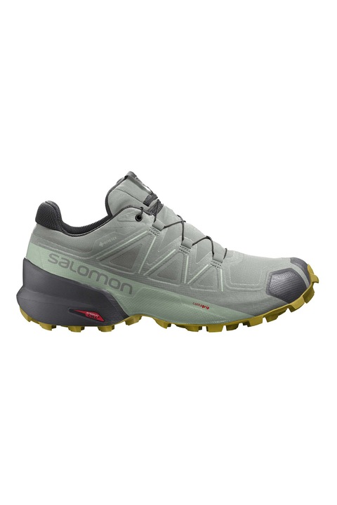 Salomon, Pantofi pentru alergare Speedcross 5 Gore-Tex, Verde pal/Gri