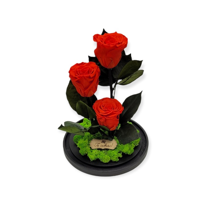 Üvegkupola 3 db piros kriogén rózsával, 28x18 cm