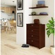 Pantofar Akord Furniture Factory, 4 compartimente, PAL, 80x60x33cm, Wenge