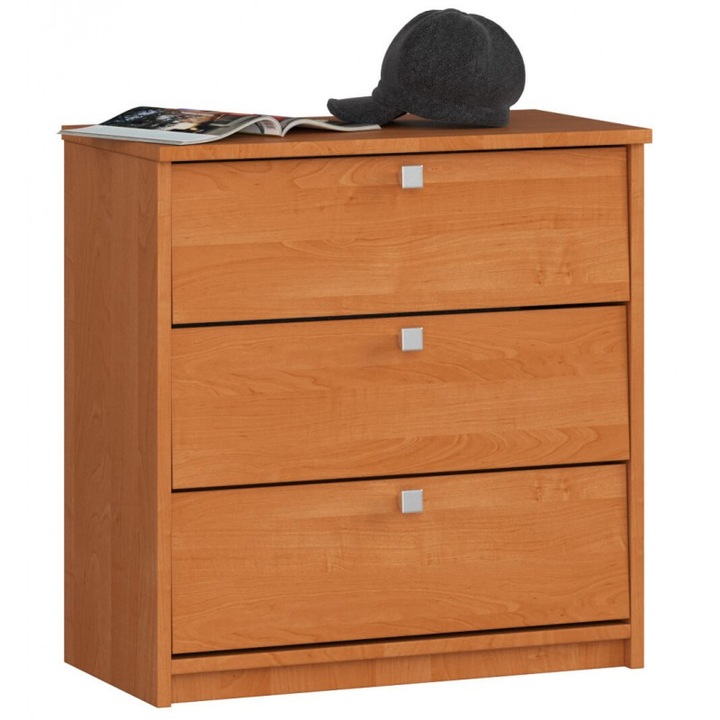 Pantofar Akord Furniture Factory, 3 compartimente, PAL, 62x60x31cm, Arin