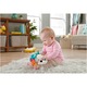 Jucarie Fisher Price - Ariciul cu activitati senzoriale