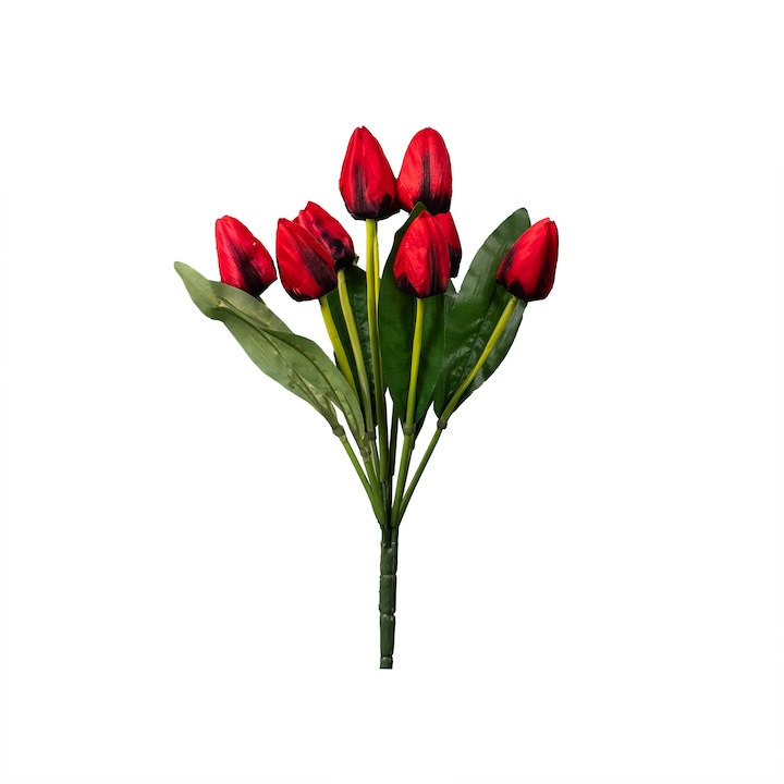 9 db műtulipán csokor, sötétvörös színű, BSP / SL130_3