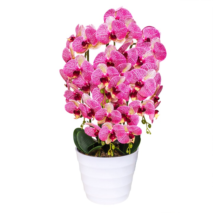 Orhidee 5 fire cu aspect natural in ghiveci plastic alb, H 70 cm / CD4837_Multicolor