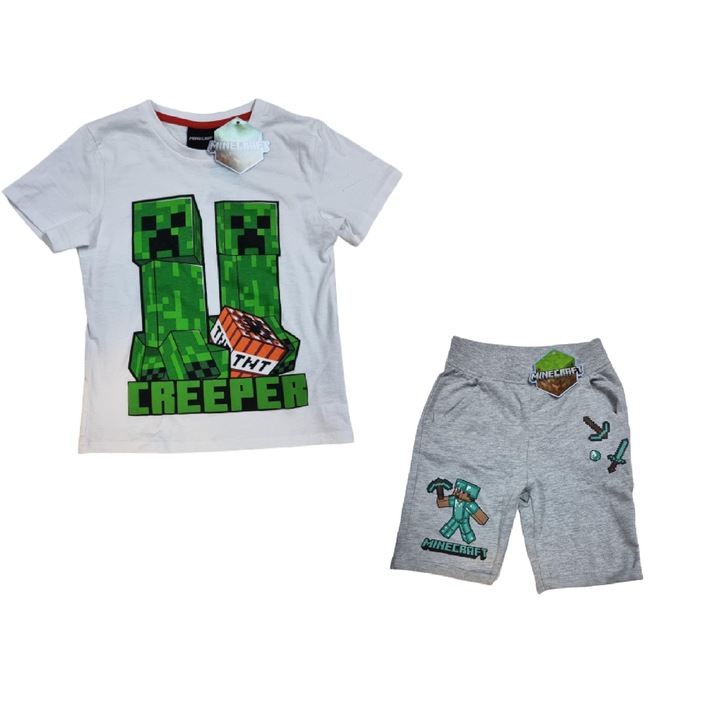 Compleu Minecraft Creeper TNT