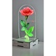 Lampa cadou Dream Lite LED fotografie 3D - cupola trandafir rosu Te iubesc