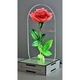 Lampa cadou Dream Lite LED fotografie 3D - cupola trandafir rosu Te iubesc