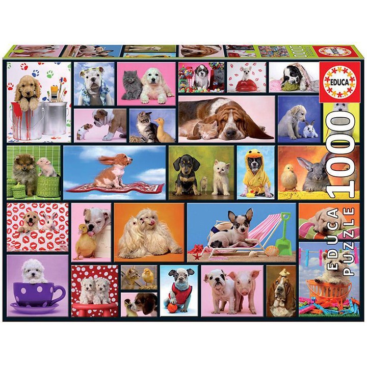 Пъзел Educa - Shared Moments, 1000 части