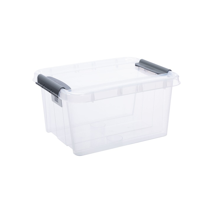 Cutie de depozitare Pro Box, 390 x 510 x 258 mm, 32 L, Transparent
