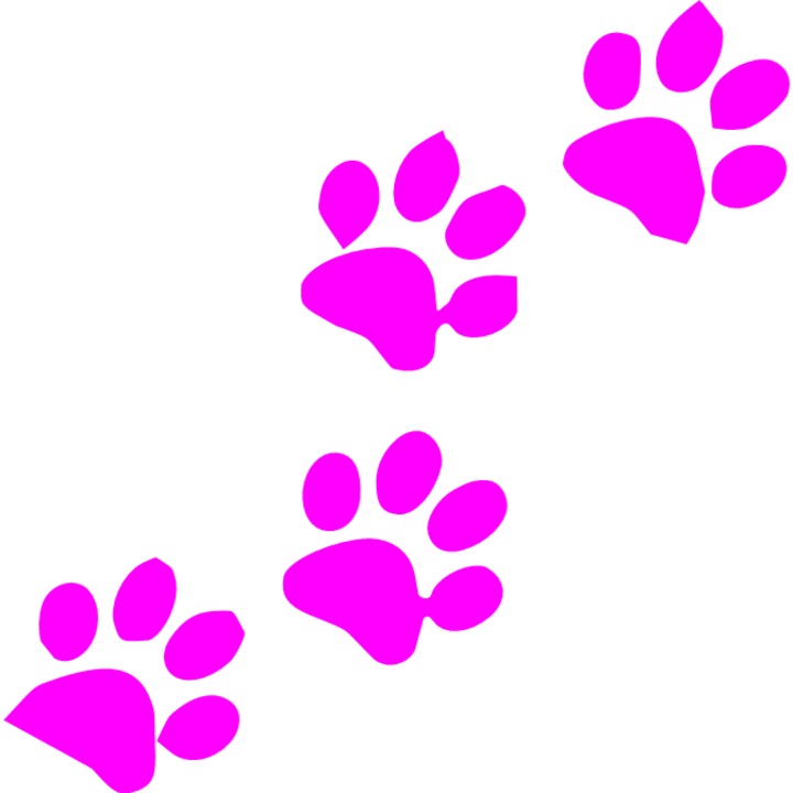 Sticker auto "Urme de labute animal'', 13x13cm, Roz