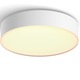 Plafoniera LED inteligenta Philips Hue Enrave, Bluetooth, 9.6W, 1220 lm, lumina ambianta alba (2200-6500K), 26.1 cm, Alb, Intrerupator cu variator inclus, clasa energetica F
