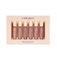 Set rujuri de buze, Handaiyan, Rose Matte Liquid Lipstick, 6, B