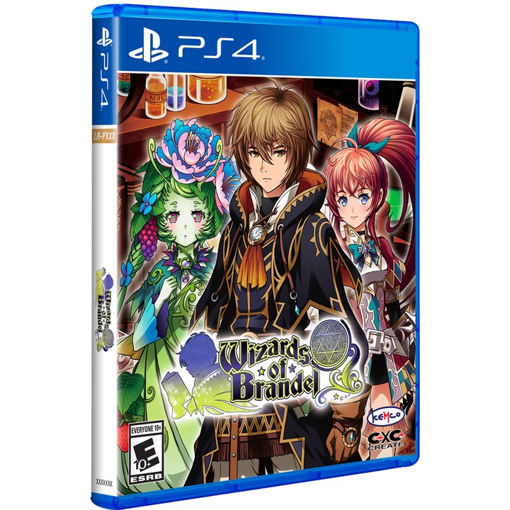 Игра Wizards Of Brandel за PlayStation 4