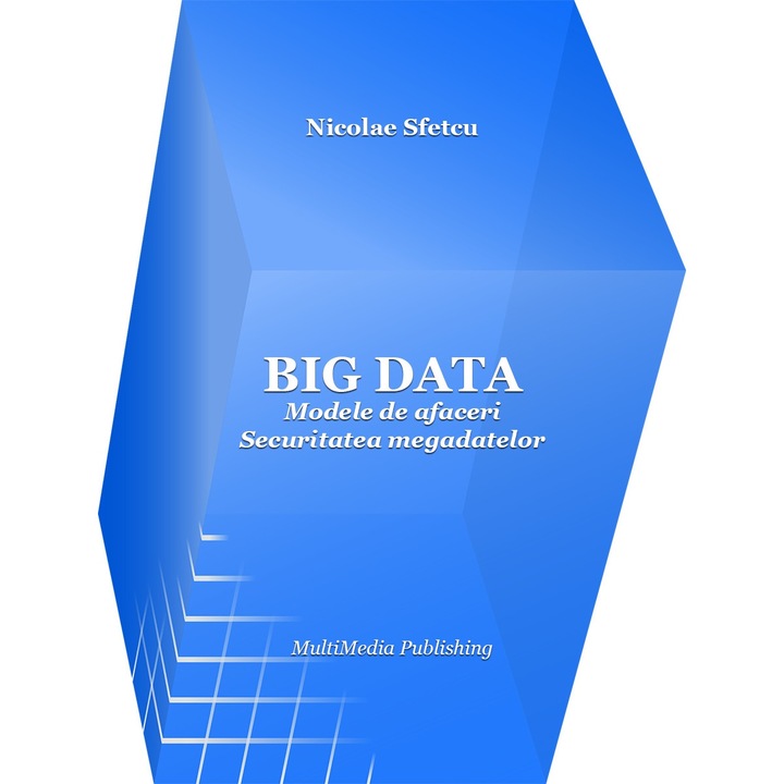 Big Data - Modele de afaceri - Securitatea megadatelor, Nicolae Sfetcu, 111 pagini