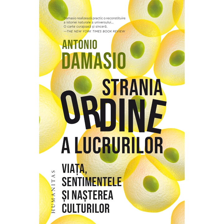 A dolgok furcsa rendje, Antonio Damasio (Román nyelvű kiadás)