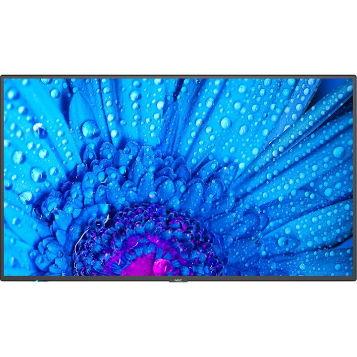 Monitor NEC MultiSync M431 60005047, 43", 3840 × 2160 UHD 4K, 16:9, 60 Hz, 8 ms, DisplayPort x2, HDMI x2, RJ-45 x1
