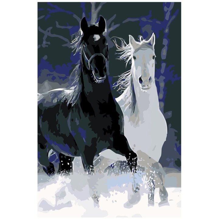 Комплект за рисуване, Памучно платно върху дървена рамка, 80x100 см, картина със скица, 3 четки и акрилна боя, Черен/Бял