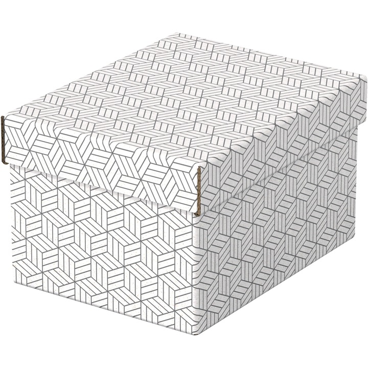 Cutie depozitare Esselte, marimea S, Home, alb