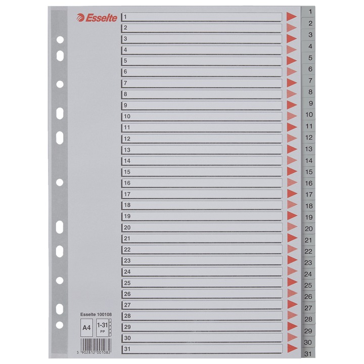 Пластмасов регистър Esselte, A4, 1-31, сив
