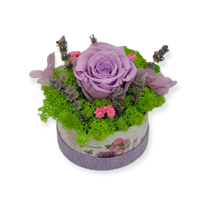 Aranjament mic rotund cu licheni si trandafir criogenat lila , 11 cm