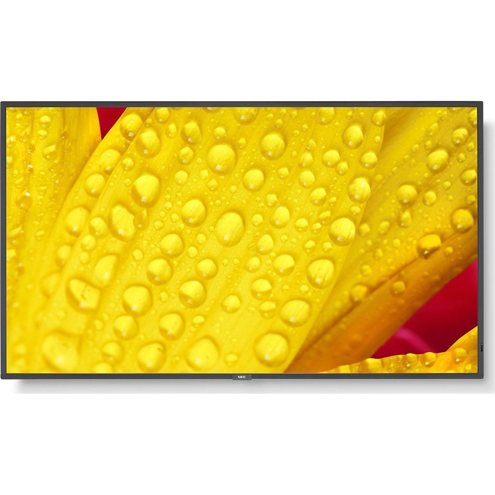 Monitor NEC 60005053, 3840 × 2160 UHD 4K, 16:9, 50", 60 Hz, 8 ms, DisplayPort x1 HDMI x2 RJ-45 x1, G osztály