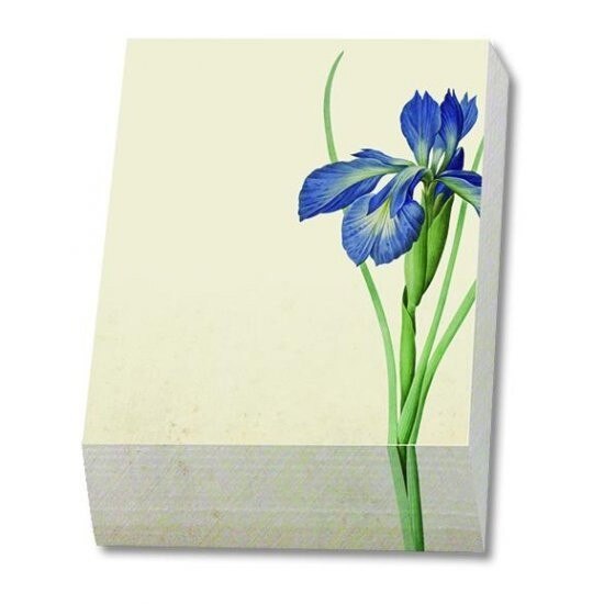 Bloc notite 164 file Redoute, Iris, Teylers Museum