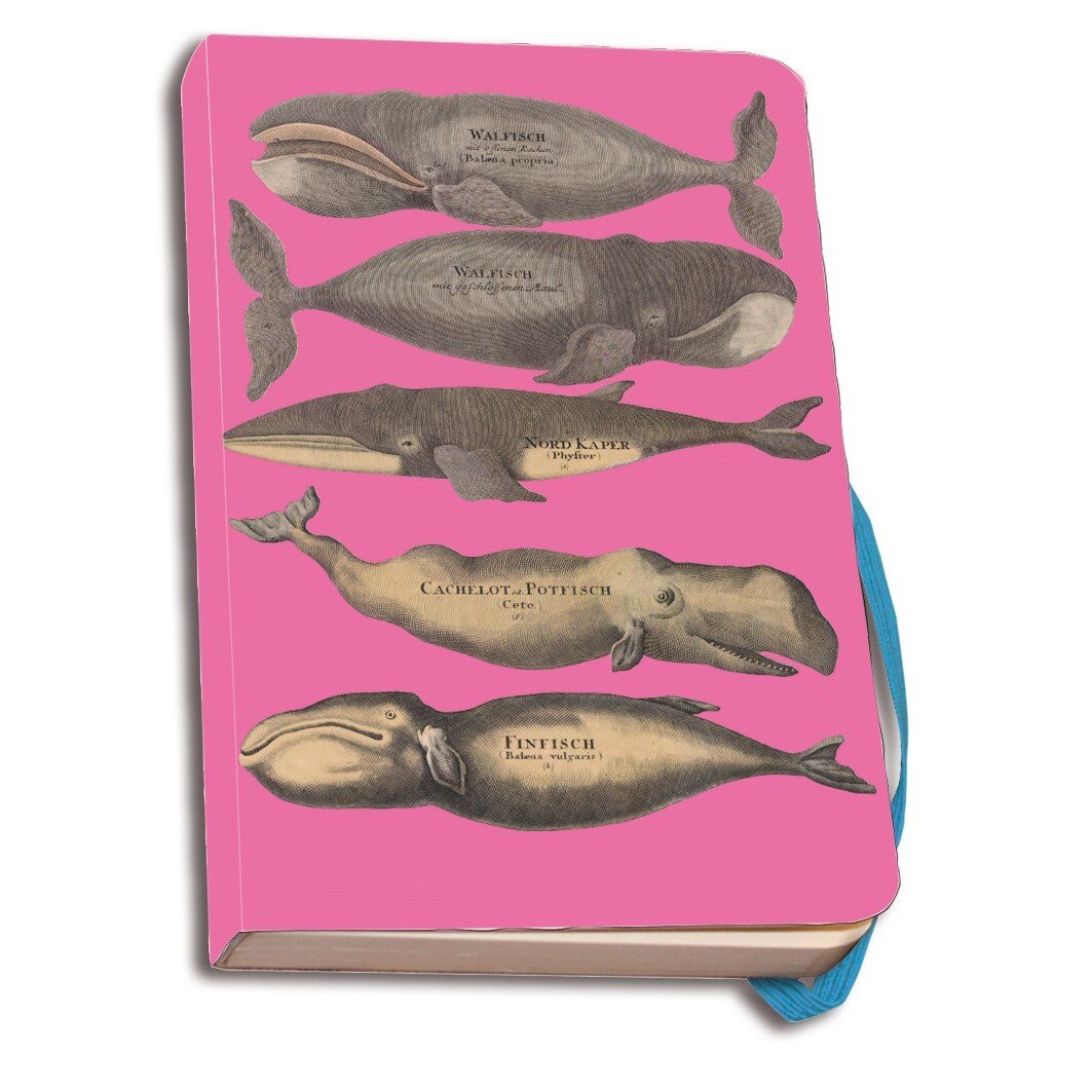 Carnet notite 112 pagini Walvissen Roze, Scheepvaartmuseum