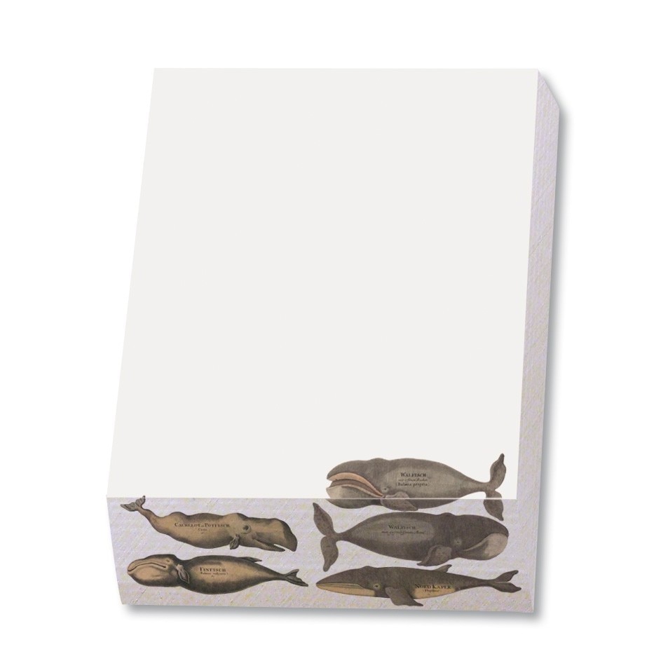 Bloc notite 164 file Walvissen Wit, Scheepvaartmuseum