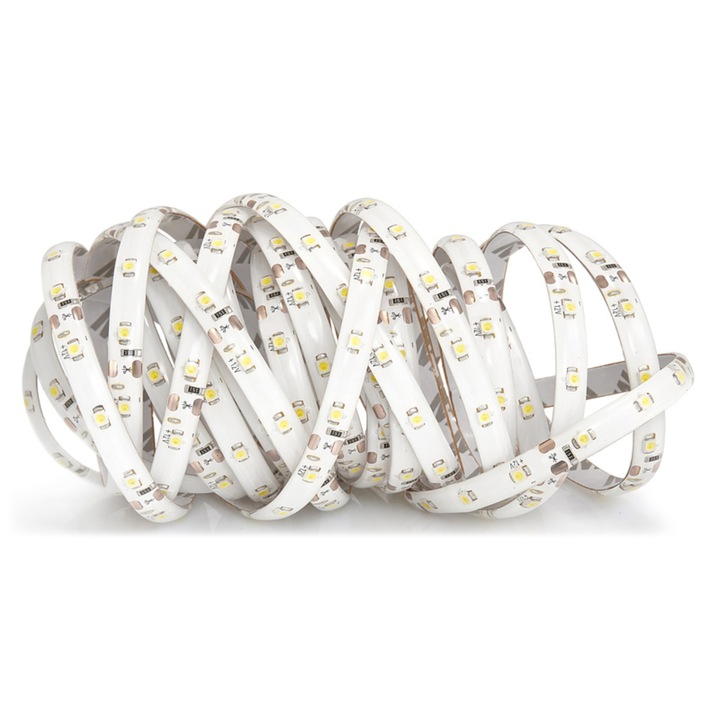 LED лента Koloreno, 12V, IP65, 6000k, 5м, Студено бяло