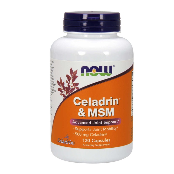 Celadrin + MSM étrend-kiegészítő, Now Foods, 500mg / 100mg, 120 kapszula