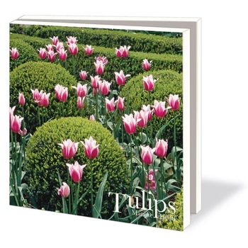Mapa cu 10 felicitari Tulips, Marijke Heuff Mapa cu 10 felicitari Tulips, Marijke Heuff