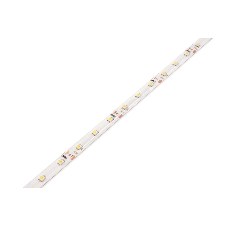 LED лента Koloreno, 12V, 3528, 300LED, 5м, IP65, Син