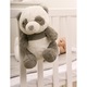 Cloud b Baba zenélő plüss - Panda (CLTT-7663-PP)