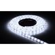 LED лента Koloreno, 12V, 600LED, IP20, Студено бяло (6000K), 5м