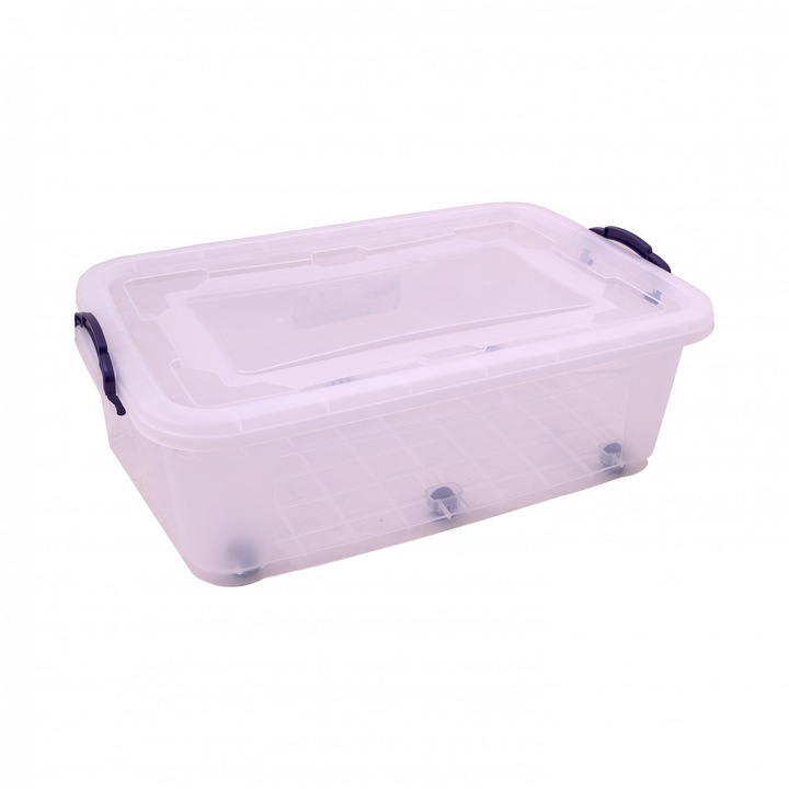 Cutie pentru depozitare 30 L