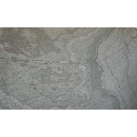 Ardezie flexibila Silver Elegance Stones 122x61cm, 0.7442 mp/placa - 1mm grosime