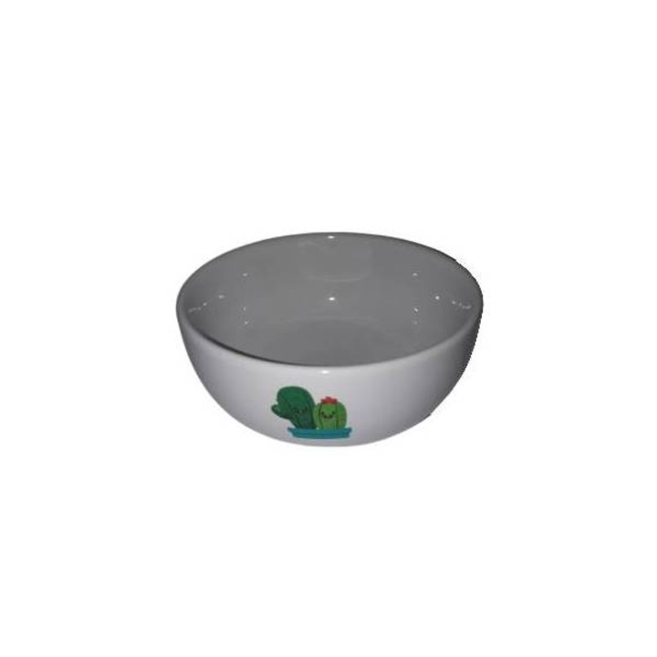 Bol din portelan cu mesaj si imagine cactus, Viejo Valle, 700ml