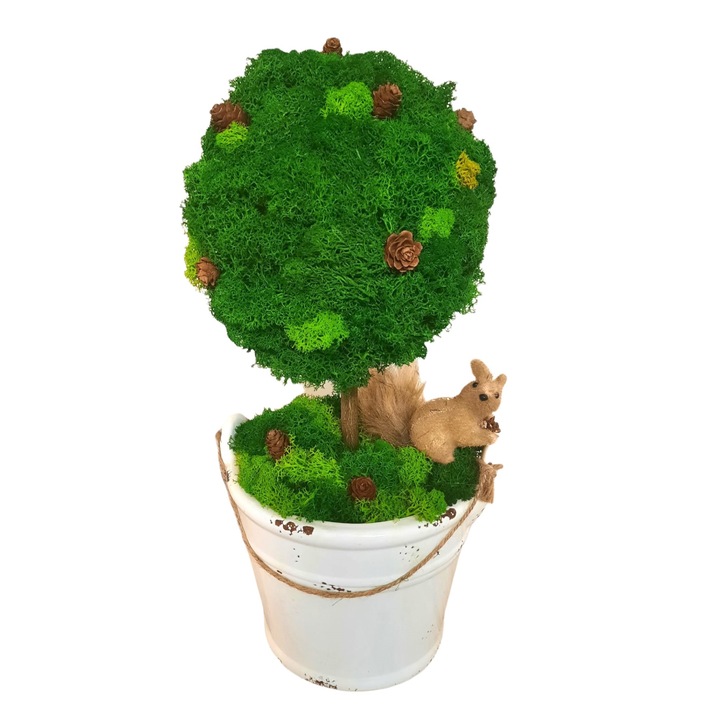 Copacel / Pomisor ornamental cu licheni stabilizati, 30 cm H, verde intens