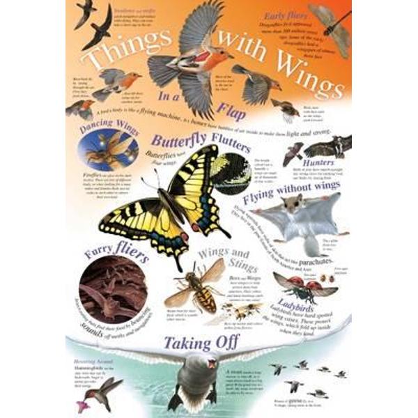 Things with Wings