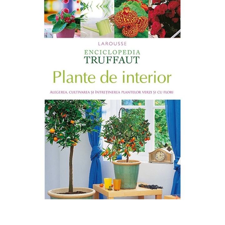 Plante de interior - Larousse, román nyelvű könyv (Román nyelvű kiadás)