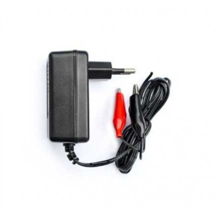Зарядно устройство TED ELECTRIC за 12V Lead Acid батерии, заряден ток 1A, захранване 220V, с детекция за край на зареждането